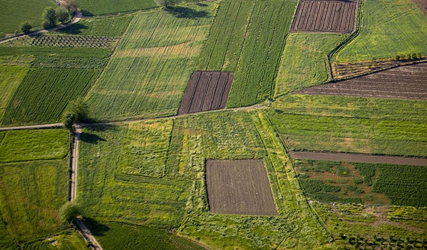 Antalya'da 1891 dekar işlenmeyen tarım arazisi kiraya veriliyor! Ortalama parsel büyüklüğü 27 dekar!