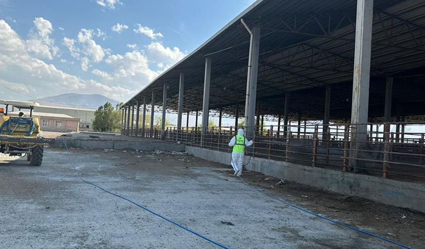 Iğdır’da şap alarmı: Hayvan pazarları yeniden kapatıldı