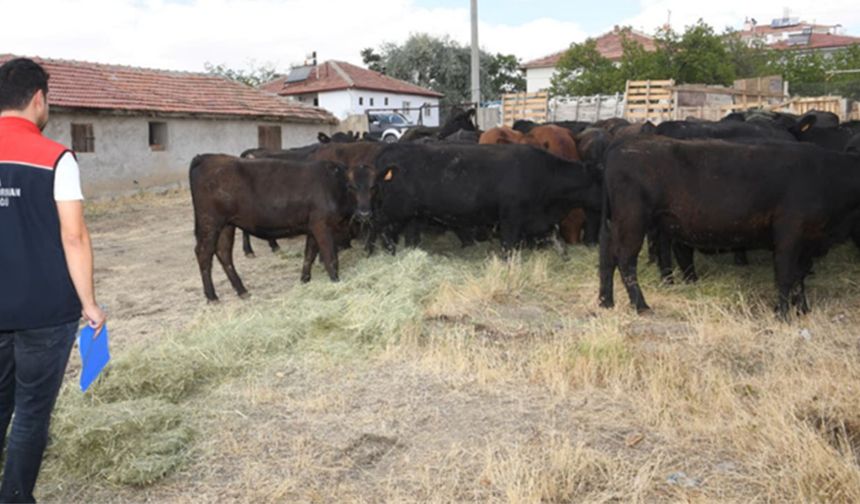 Ankara’da kırsalda bereket projesinde ilk teslimatlar yapıldı