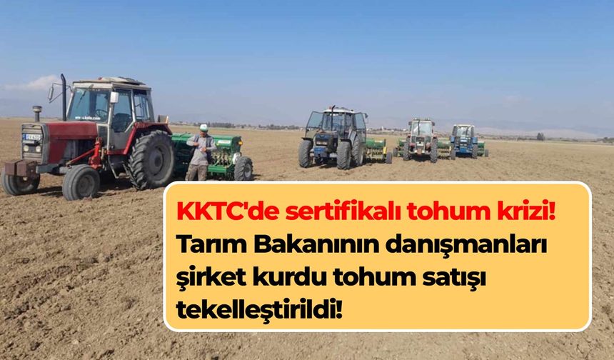 KKTC'de sertifikalı tohum krizi! Tarım Bakanının danışmanları şirket kurdu tohum satışı tekelleştirildi!