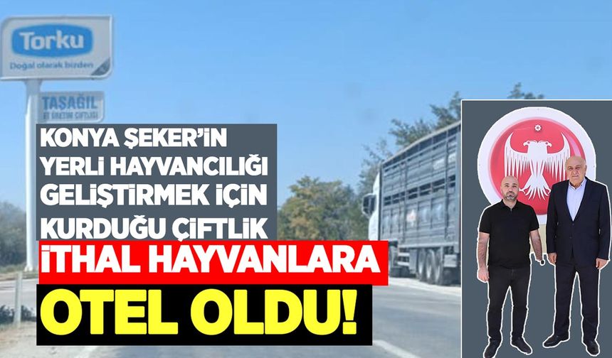 Konya Şeker’in Taşağıl Çiftliği ithal hayvanlara “otel” oldu