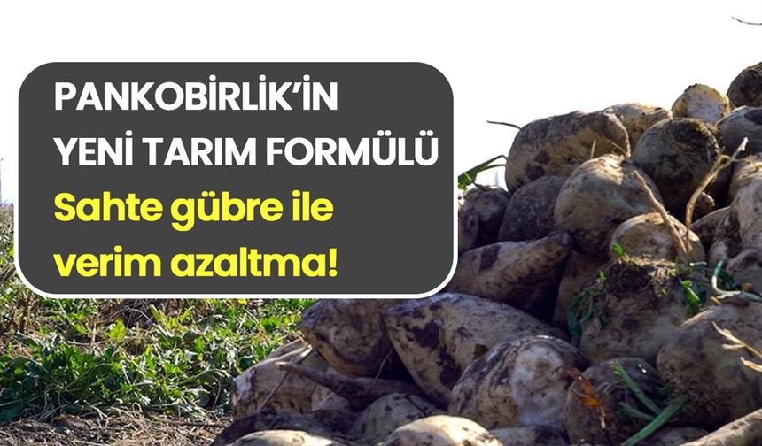 Pankobirliğin gübrelerinde yeni skandal: Ereğli Pancar Ekicileri Kooperatifinde sahte gübre şoku
