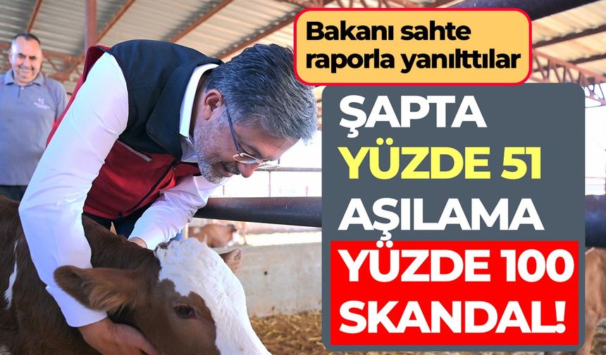 Şap Skandalı: Aşılama oranı yüzde 51, hayvan pazarı açıldı