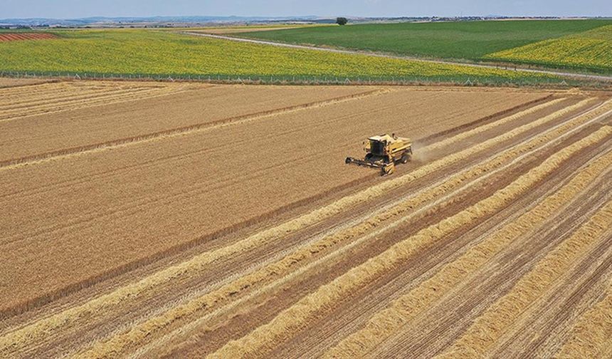Ekilmeyen tarım arazisine kira geliri: Mersin’de tek parsel 14 bin TL