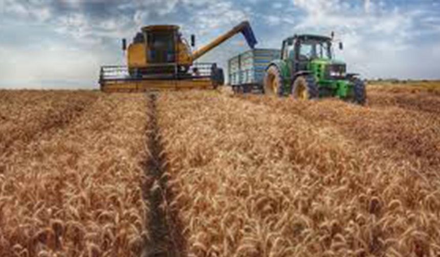 Buğday, arpa ve mısır fiyatları haftaya nasıl başladı? (2 Şubat 2026)