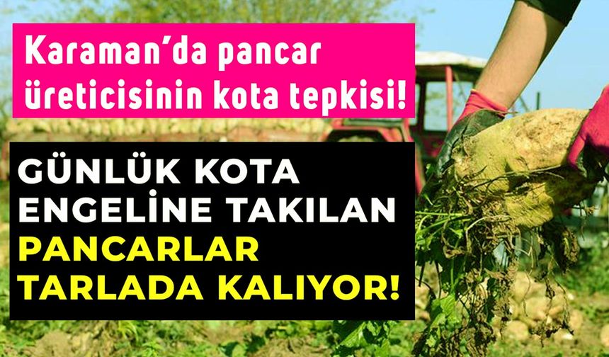 Karaman'da pancar üreticisinin kota tepkisi: Günlük kota engeline takılan pancarlar tarlada kalıyor