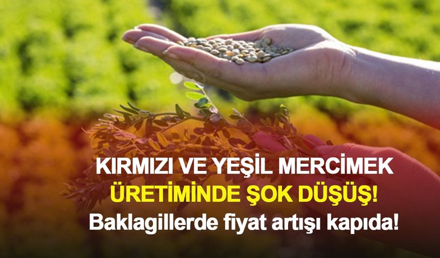 Kırmızı ve yeşil mercimek üretiminde şok düşüş: Baklagillerde fiyat artışı kapıda!