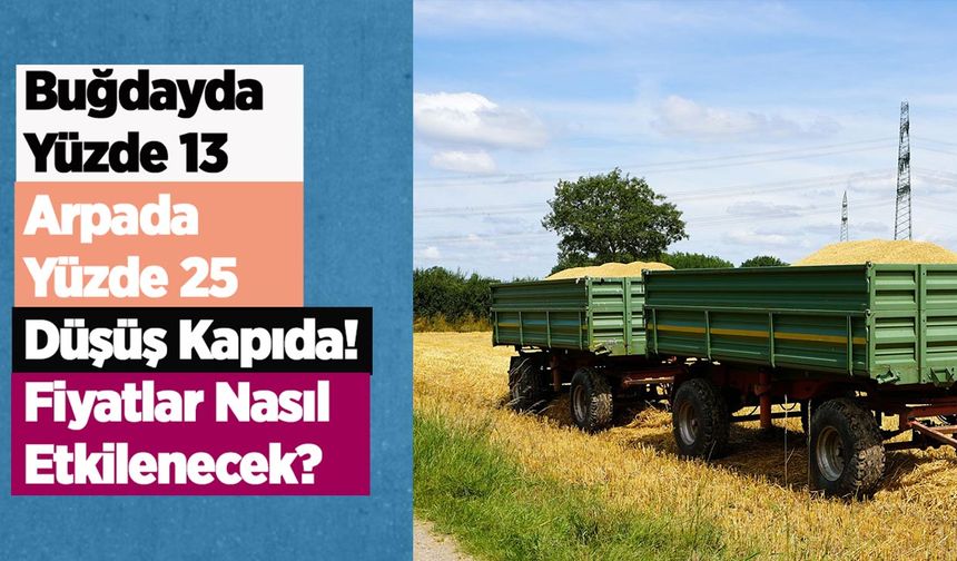 Buğdayda yüzde 13, arpada yüzde 25 düşüş kapıda! Fiyatlar nasıl etkilenecek?