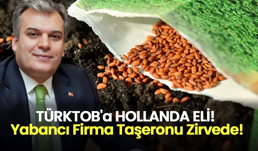 Tohumcular Birliği Başkanlığına, Hollandalı Bir Firmanın Türkiye Temsilcisi Aday!