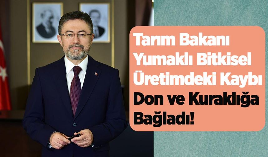Tarım Bakanı Yumaklı Bitkisel Üretimdeki Kaybı Don ve Kuraklığa Bağladı!