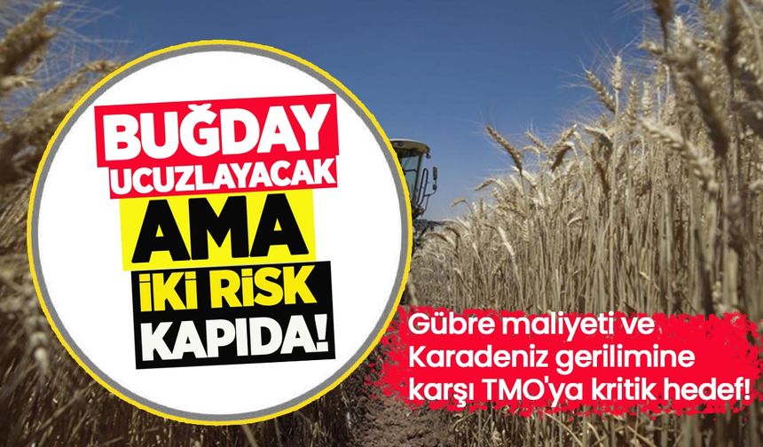 Buğday ucuzlayacak ama iki risk kapıda: Gübre maliyeti ve Karadeniz gerilimine karşı TMO'ya kritik hedef