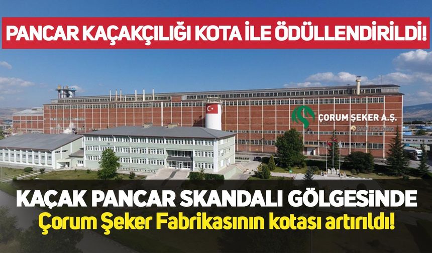 Kaçak pancar skandalı gölgesinde Çorum Şeker’in kotası artırıldı
