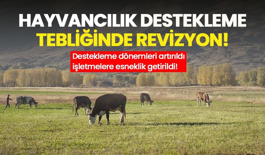 Hayvancılık desteklerinde yeni dönem: Bakanlık kriterleri yeniden belirledi