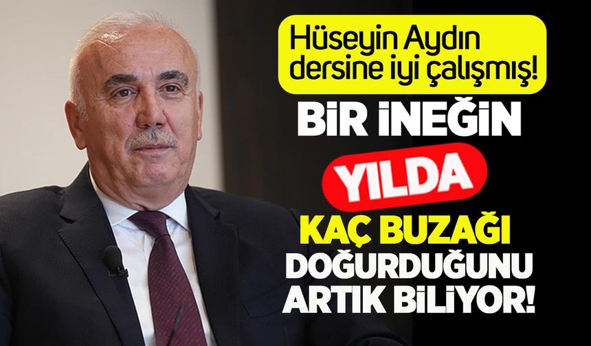 Hüseyin Aydın dersine iyi çalışmış: Bir ineğin yılda kaç buzağı doğurduğunu artık biliyor!