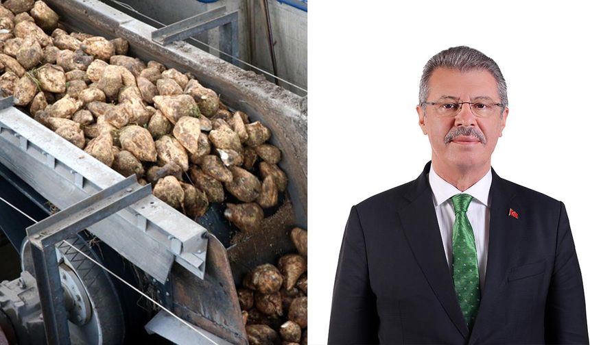 Kayseri Şeker’den pancar üreticisine 111 milyon TL’lik ikinci söküm avansı