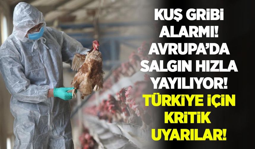 Kuş gribi çok hızlı yayılıyor acil önlem alınmalı: H5N5 kuş gribinin ilk insan vakası doğrulandı!
