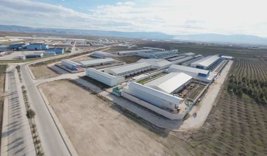 Organize tarım bölgeleri kaç tane oldu? Kaçında üretim başladı? Bakan Yumaklı açıkladı