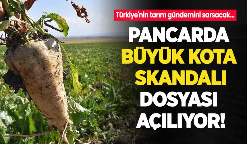 Türkiye'nin tarım gündemini sarsacak pancarda büyük 'kota skandalı' dosyası açılıyor!