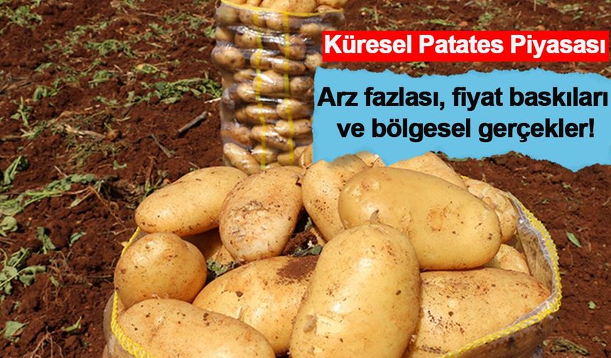 Dünya patates krizinde: Fransa ve Polonya'daki arz fazlası fiyatları çökertti; Türk çiftçisi zararda!