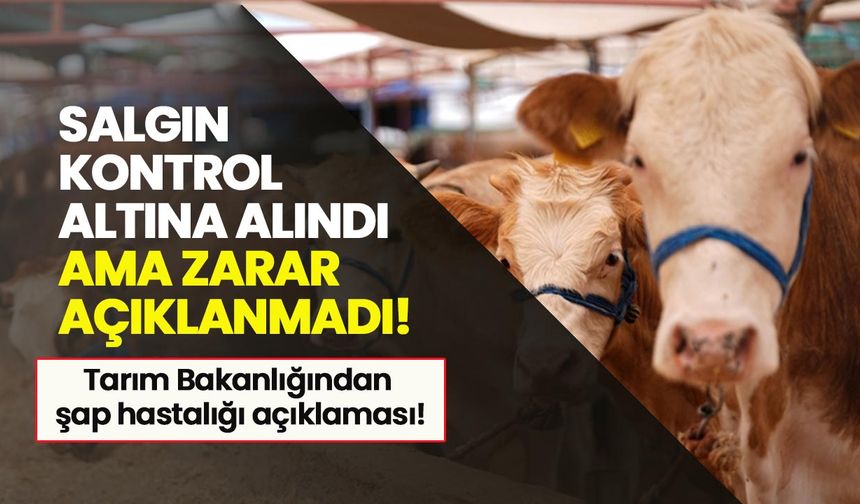Tarım ve Orman Bakanlığı şap hastalığı hakkında bilgilendirme yaptı