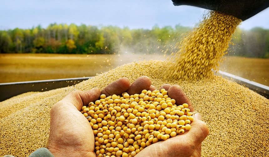 Günaydın’dan çarpıcı soya çıkışı: “19,4 milyar doları soyaya ödedik, yeterlilik oranı sadece yüzde 6