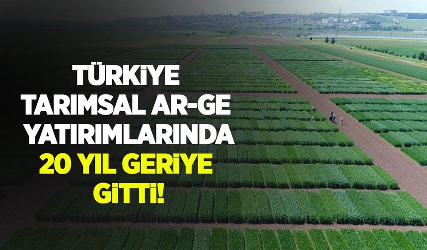Türkiye tarımsal AR-GE yatırımlarında 20 yıl geriye gitti