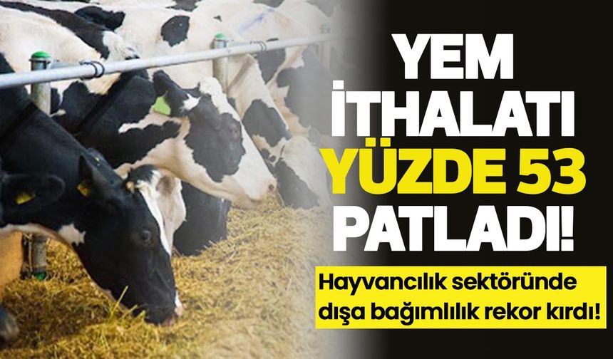Yem ithalatı yüzde 53 patladı! Hayvancılık sektöründe dışa bağımlılık rekor kırdı!
