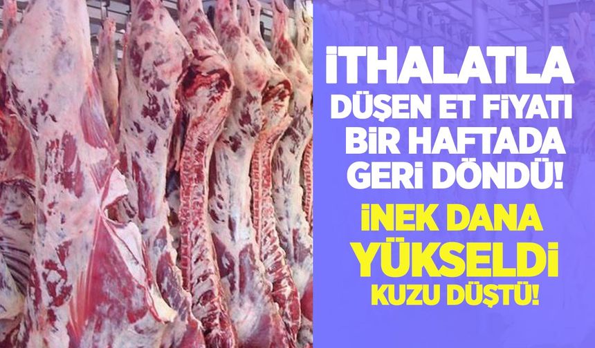 Et kesim fiyatları bu hafta ne oldu? İnek, dana, düve yükseldi, kuzu düştü