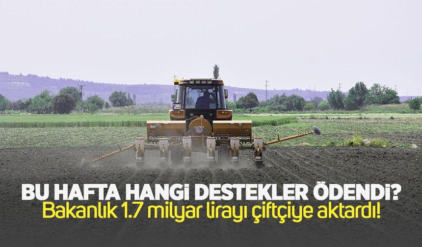 Bu hafta hangi destekler ödendi? Bakanlık 1,7 milyar lirayı çiftçiye aktardı