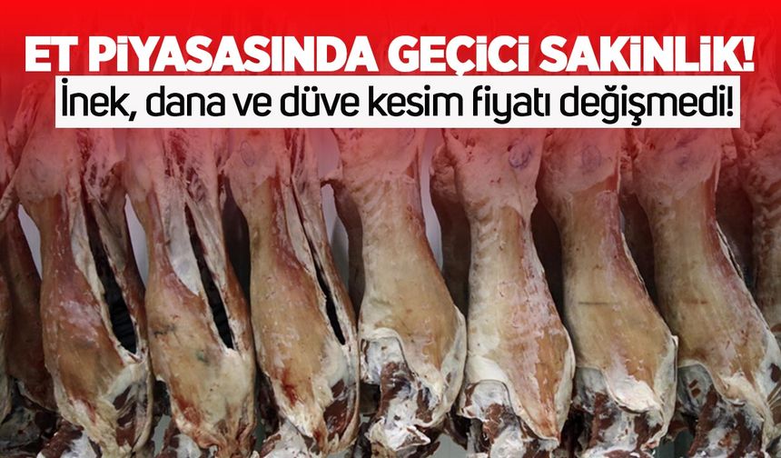 İnek, dana, düve kesim fiyatı değişmedi: Et piyasasında geçici sakinlik!