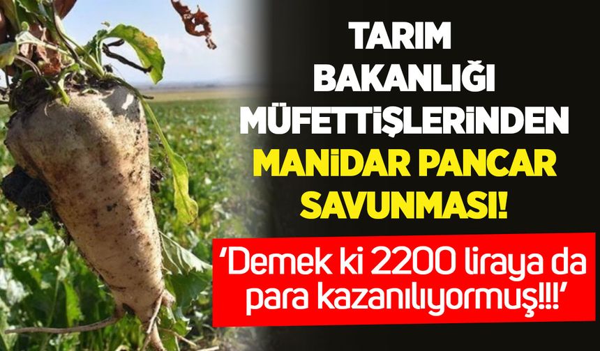 Pancar kotası skandalında şaşırtan yaklaşım: Bakanlık müfettişi 2200 lirayı ‘karlı’ buldu