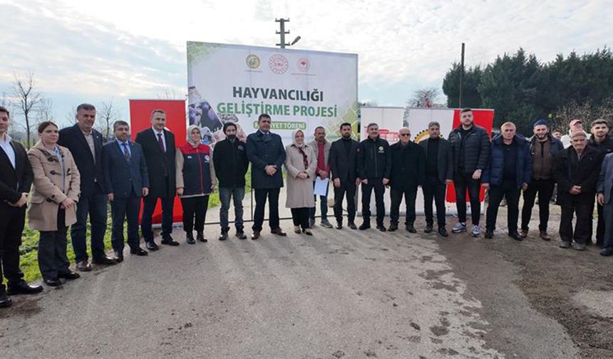 Düzce’de manda yetiştiriciliğine damızlık boğa desteği