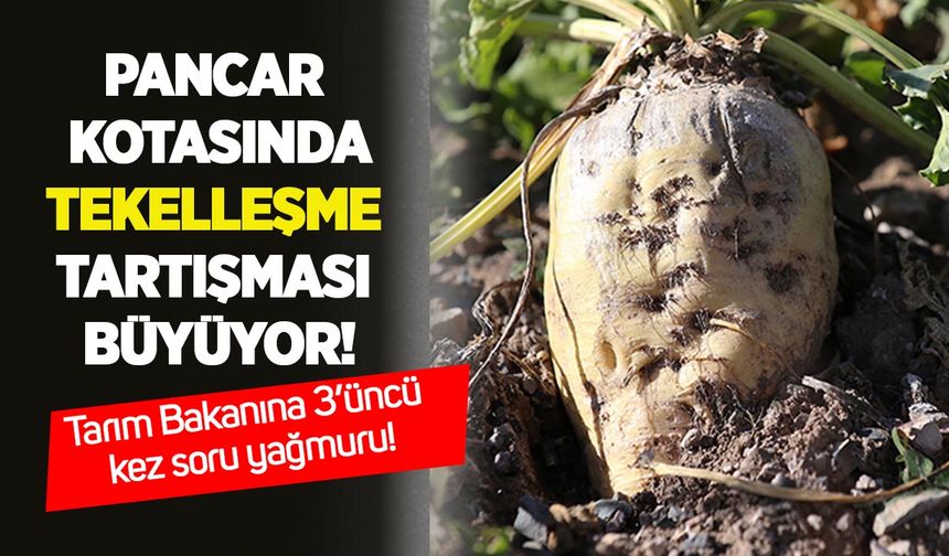 Pancar kotasında tekelleşme tartışması büyüyor: Bakanlığa 3’üncü kez soru yağmuru