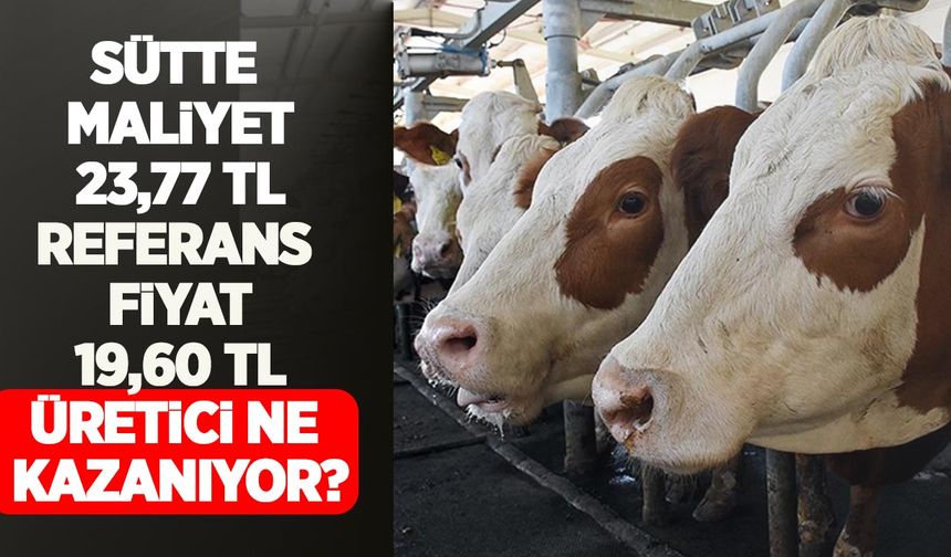 Sütte maliyet 23,77 TL, referans fiyat 19,60 TL: Üretici ne kazanıyor?
