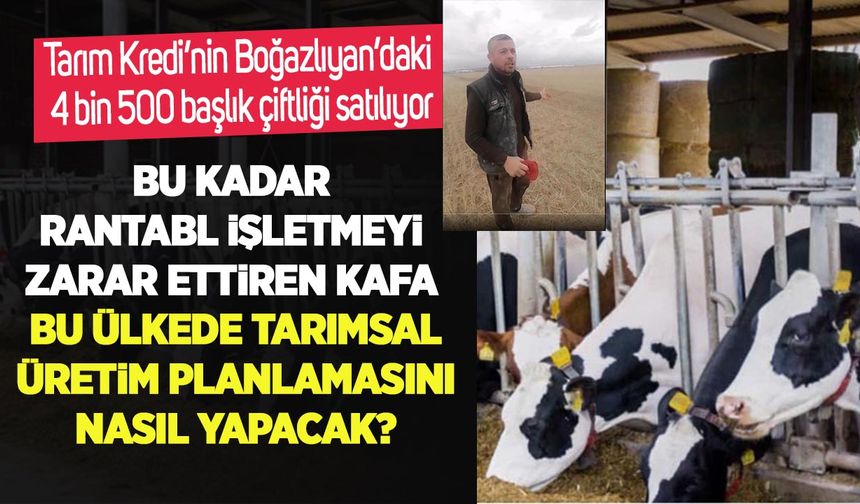 Tarım Kredi’nin Boğazlıyan’daki 4 bin 500 başlık çiftliği satılıyor