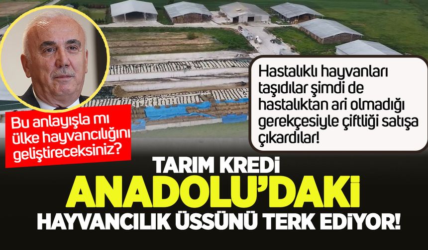 Tarım Kredi hayvancılıkta Anadolu’dan çekiliyor!