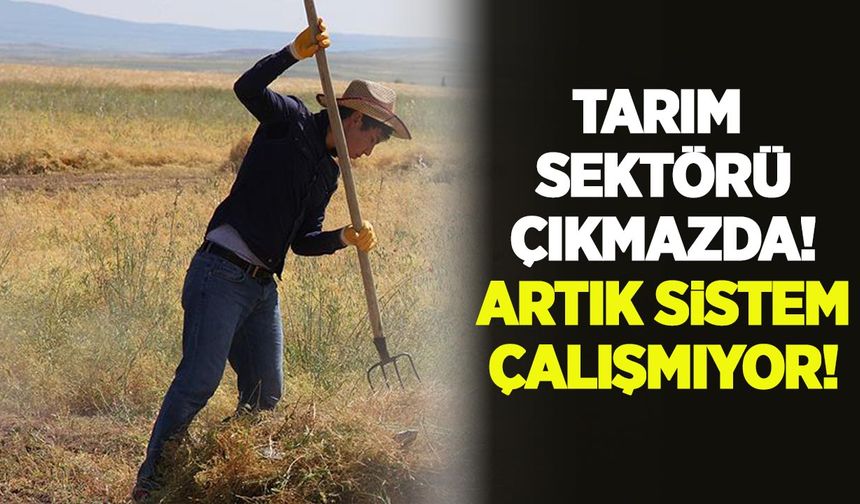Tarım sektörü çıkmazda, artık sistem çalışmıyor!