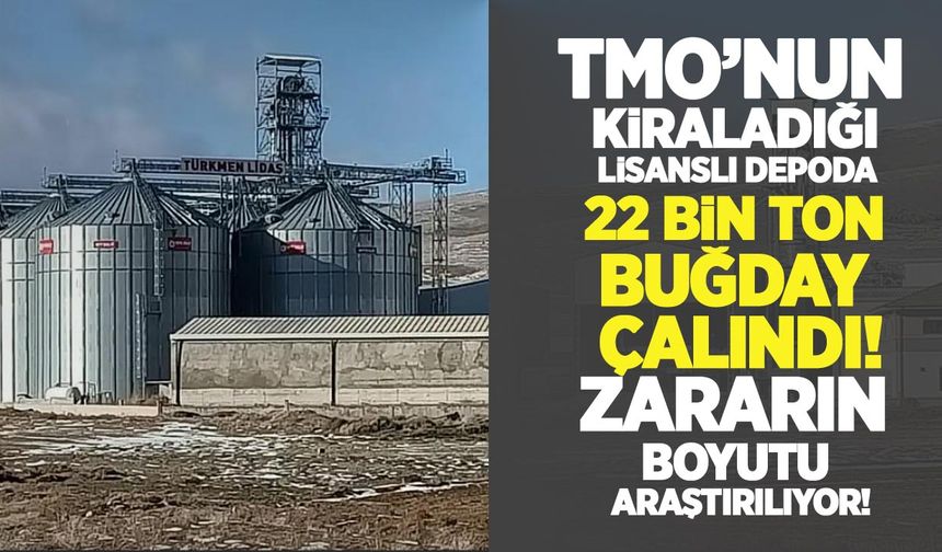 TMO’nun kiraladığı lisanslı depoda buğday skandalı: Zarar 800 milyon liraya kadar çıkabilir