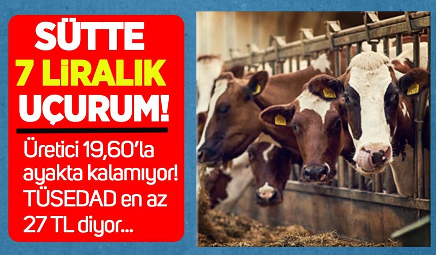 Sütte 7 liralık uçurum: Üretici 19,60’la ayakta kalamıyor, TÜSEDAD “en az 27 TL” diyor