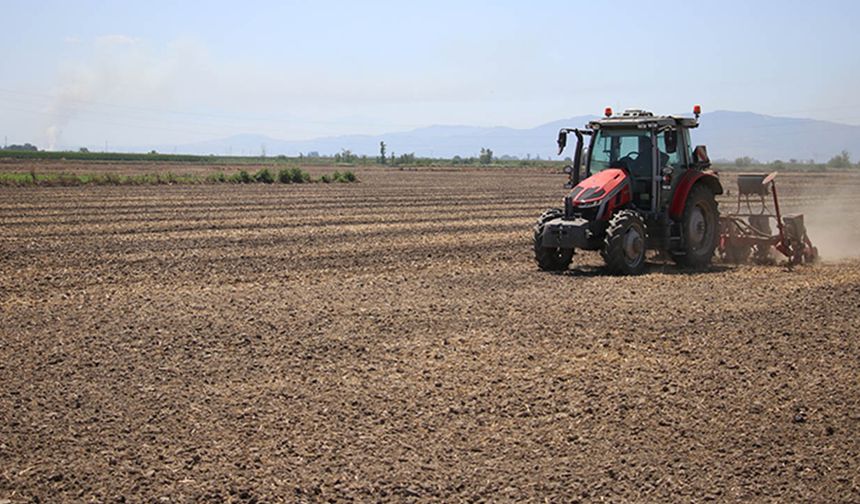 Adana’da hangi ürün arttı, hangisi düştü? TÜİK verileriyle tarım analizi