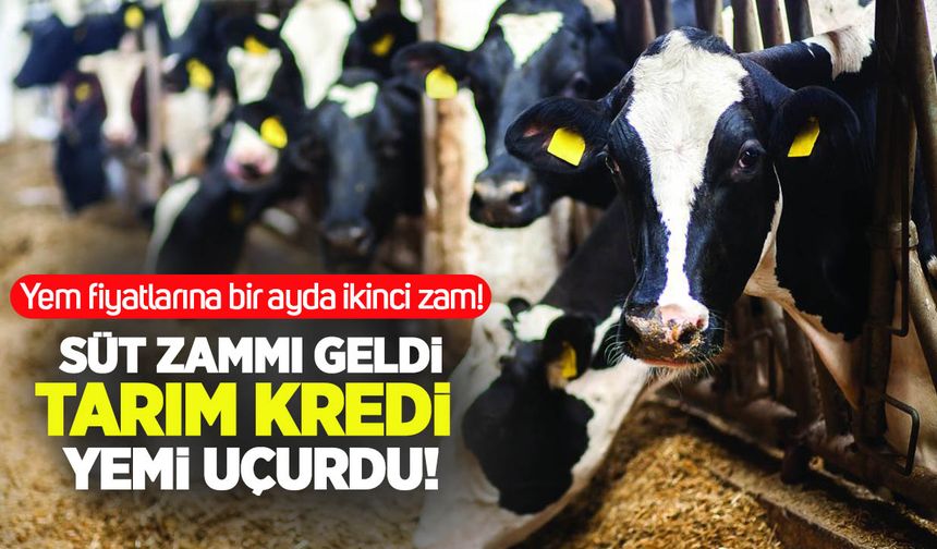 Tarım Kredi’den bir ayda iki yem zammı!