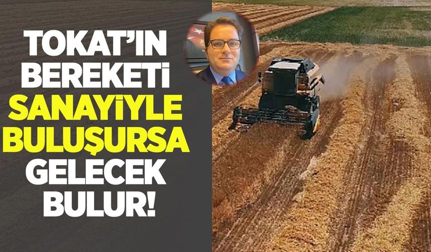 Tokat'ın bereketi, sanayiyle buluşursa gelecek kurulur