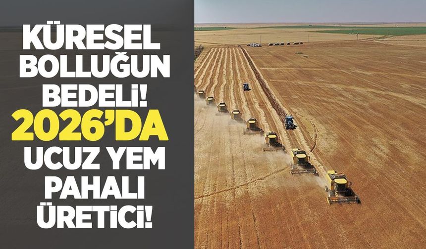WASDE raporu ne söylüyor? 2026’da hayvancılık kazanıyor, hububat üreticisi baskı altında