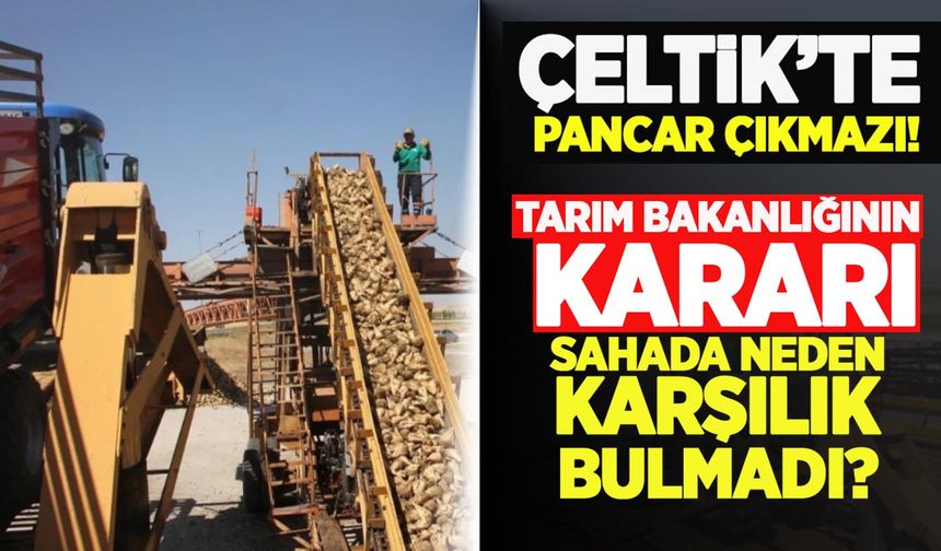 Çeltik’te pancar savaşı: Tarım Bakanlığının kararı sahada neden karşılık bulmadı?