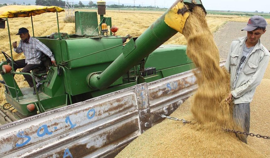 Hububat fiyatlarında kritik sinyal: 16 Şubat 2026 borsa rakamları ne söylüyor?