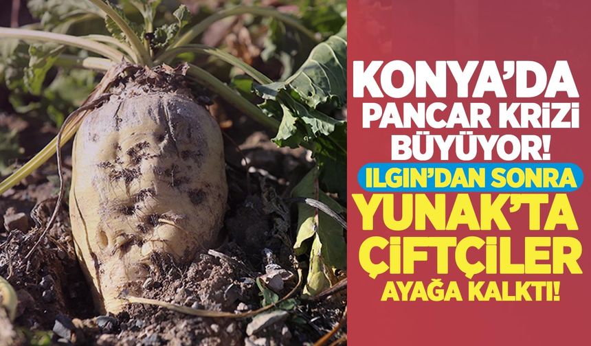 Konya’da pancar krizi büyüyor: Ilgın’dan sonra Yunak’ta çiftçiler ayağa kalktı