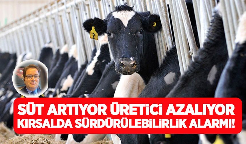 Süt artıyor, üretici azalıyor: Kırsalda sürdürülebilirlik alarmı