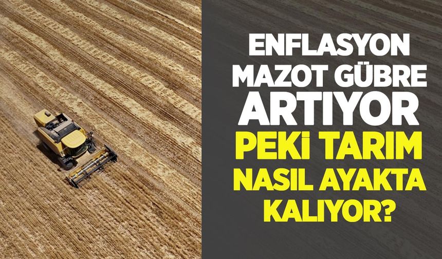 Enflasyon, mazot, gübre nereye gidiyor? Dünya tereddüt ederken, tarım dengede nasıl kalıyor?