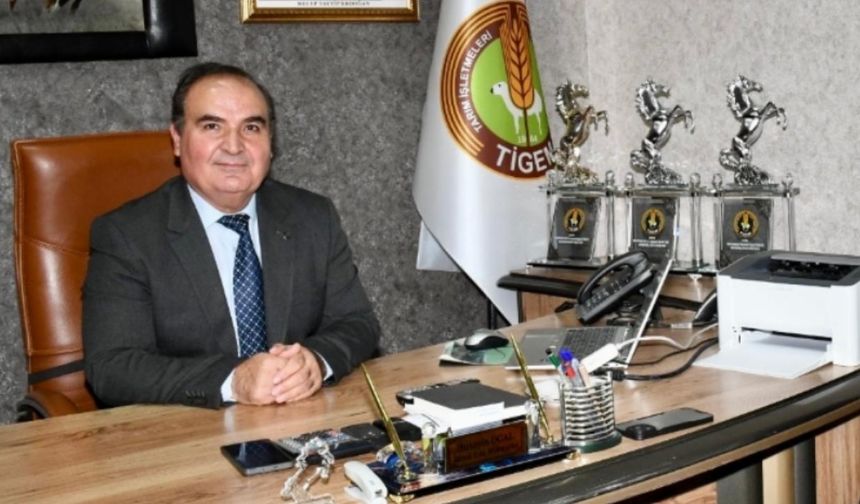 Sultansuyu Tarım İşletmesi’nde firar eden atlar müdürü koltuğundan etti