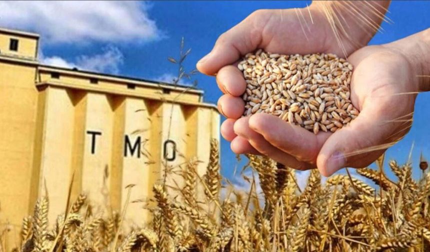 TMO’dan ithal buğday satışı: Alan fabrikalara yerli buğday şartı